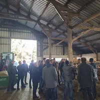 Un groupe de personnes visite une étable.