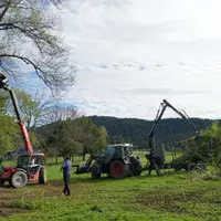 Chantier de taille de haies