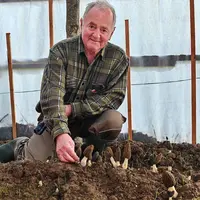 Claude Maniol devant sa culture de morilles dans le Cantal.