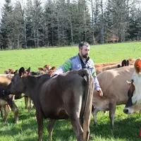 Eleveur au milieu de son troupeau de vacjes.