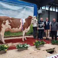 Solution remporte le titre de Miss Montbéliarde 2024 ainsi que le challenge précocité.