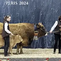 Occitane et ses éleveurs lors de la remise des prix du concours Aubrac au SIA 2024