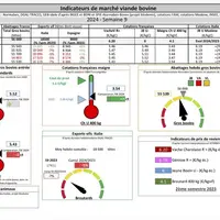 Les indicateurs de marché viande bovine proposés par la FNB sous forme de tableau et graphique
