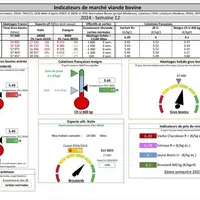 Les indicateurs de marché de viande bovine.