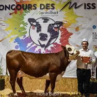 Une vache présentée lors d'un concours bovin par des éleveurs.