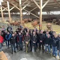Un groupe d'éleveurs dans une stabulation avec des vaches salers en arrière-plan.