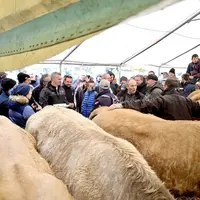 Foire grasse de saint pierre colamine