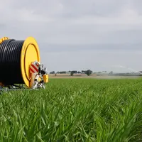 Enrouleur irrigation dans un champ de maïs semence