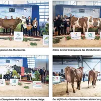 Les grandes championnes et leurs réserves dans chacune des 3 races