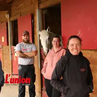 Quatre personnes et un cheval au centre