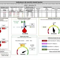 Les indicateurs de marché viande bovine » de la semaine 13 de 2024.