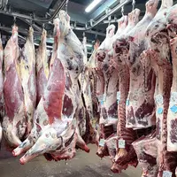 Carcasses d'animaux accrochés dans une chambre froide d'un abattoir.