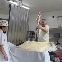 Atelier de transformation fromage. Producteur découpe la tome.