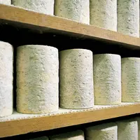 Fourme d'ambert sur des étagères.