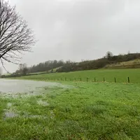 une prairie innondée