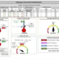 Indicateurs de marché viande bovine