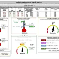 Indicateurs de marché de la viande bovine