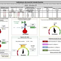 Indicateurs de marché de la viande bovine