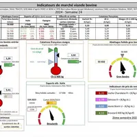Les indicateurs de marché en viande bovine.