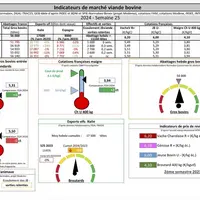 Indicateurs de marché viande bovine