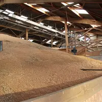 stock de grains dans un hangar