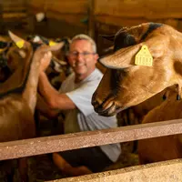 Chèvres dans un bâtiment avec un éleveur derrière
