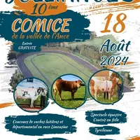 Affiche comice vallée de l'Ance
