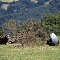 La tempête du 11 juillet a déraciné un arbre centenaire