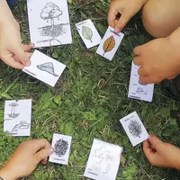 Des enfants apprennent à reconnaître bois et forêts