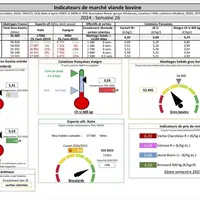 Indicateurs des marchés de viande bovine