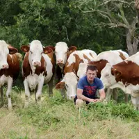 Xavier Teilhol avec ses génisses.