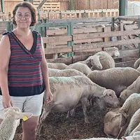 "À défaut de la vendre, elle pourrait au moins être valorisée pour nos exploitations" : Véronique Roux compte beaucoup sur le compostage de la laine.