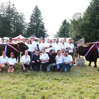 Un groupe de gens habillés en blanc posent à côté de vaches salers lors d'un concours