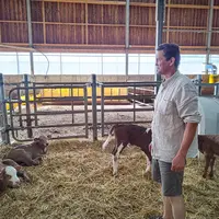 Une homme debout dans une étable avec des veaux