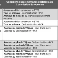 Conditions d’export des animaux en provenance de la zone régulée
