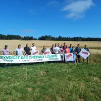 15 ha à disposition pour les finales départementales de labour et de chevaux lourds : rendez-vous le 25 août à Cayres. Entrée : 3 euros par personne.