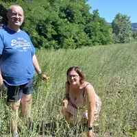 Bruno Nozy et sa femme, Danielle, dans une parcelle de moutarde brune. Cette année, la floraison, qui dure  environ 15 jours, a eu lieu autour du 25 j