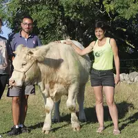 La famille Dupré se prépare à Qualiviande