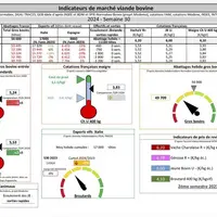 Indicateurs de marché de viande bovine