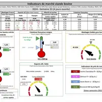 Indicateurs de marché de viande bovine