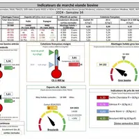Le tableau des indicateurs de marché de viande bovine
