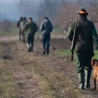 des chasseurs avec un chien