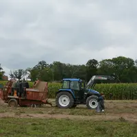 Ramassage des pommes de terre au lycée d'Ahun.