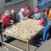 Une fois lavées, la laine est séchée par des moyens naturels, au soleil.