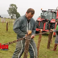 un eleveur en train d'installer une chaine autour d'un piquet en bois