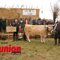 une vache beige au milieu d'un groupe de personnes