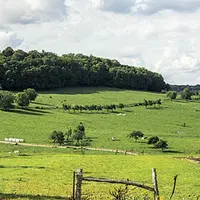 Des champs dans le massif central