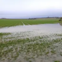 Une parcelle inondée