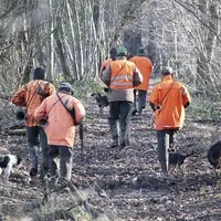 Des chasseurs en forêt avec leurs chiens