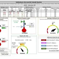 Les indicateurs de marché de viande bovine